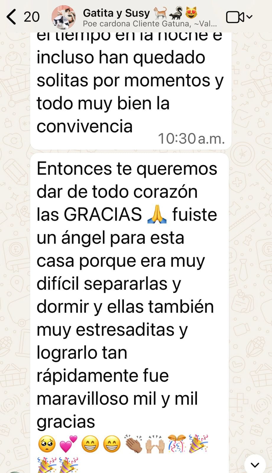 Captura de WhatsApp: testimonio de clienta agradeciendo el acompañamiento y la terapia floral para sus gatos