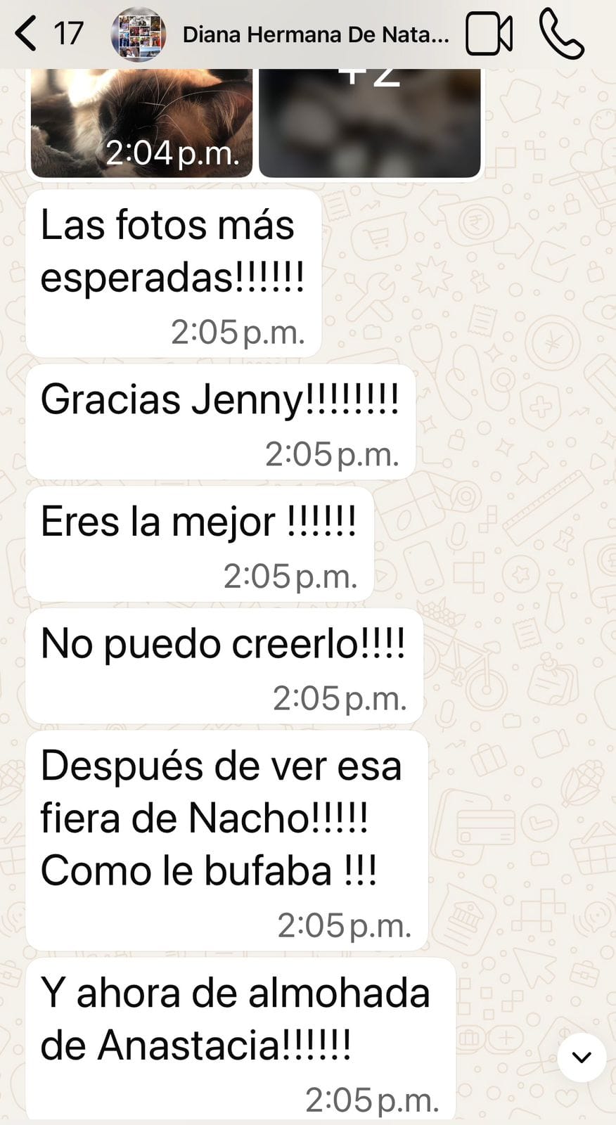 Captura de WhatsApp: testimonio de clienta muy feliz por el cambio y evolución de su gato