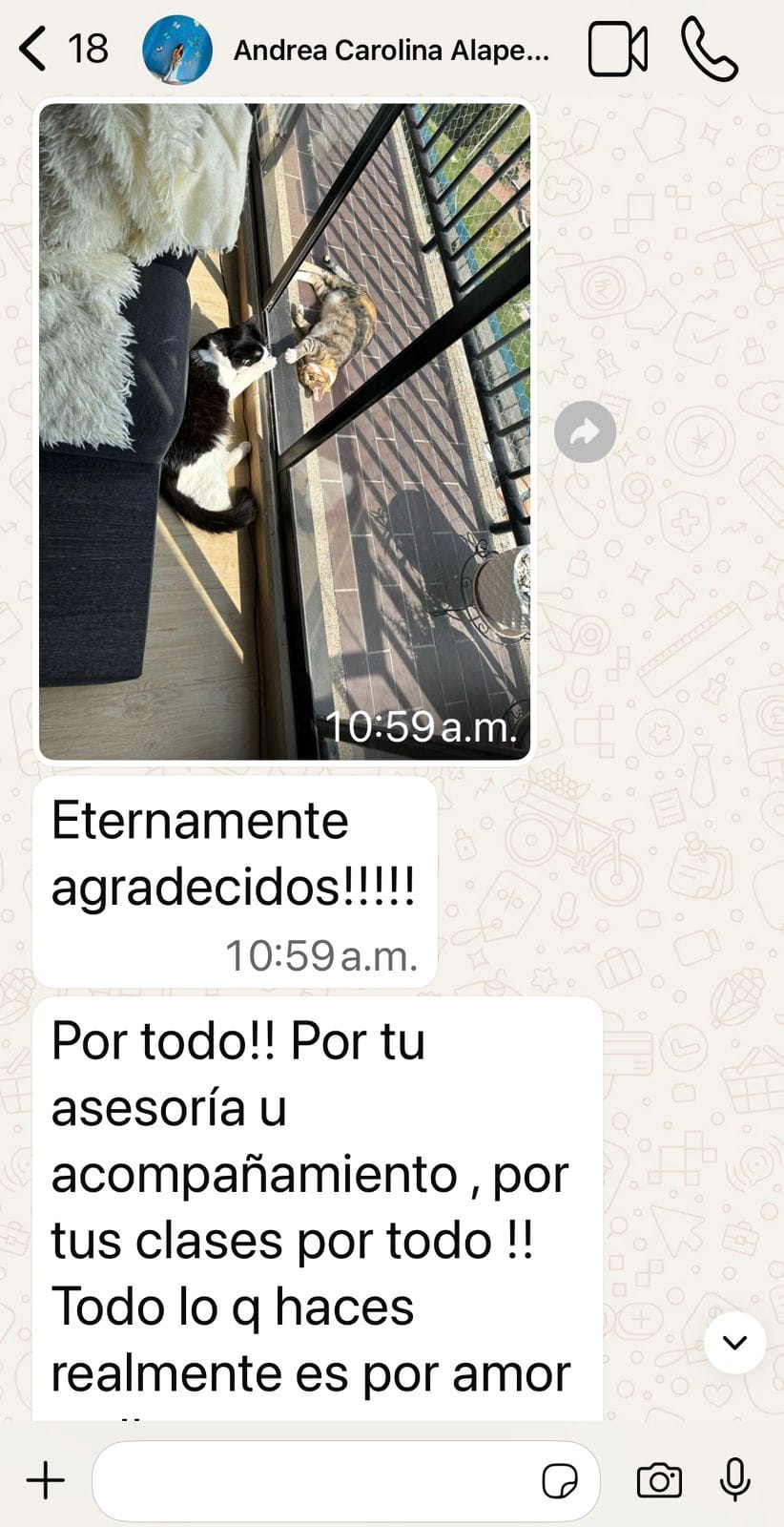 Captura de WhatsApp: testimonio de clienta agradeciendo el acompañamiento y la terapia floral para sus gatos