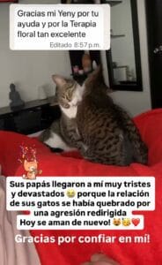 WhatsApp Image 2026-04-28 at 11.43.36 AM (2)