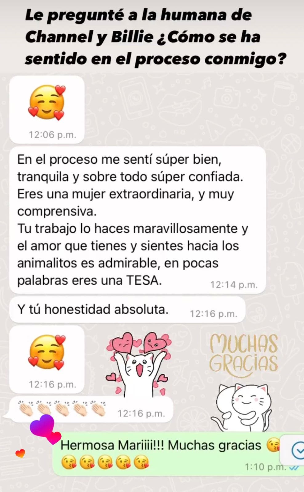 Captura de WhatsApp: clienta muy agradecida después de la consulta