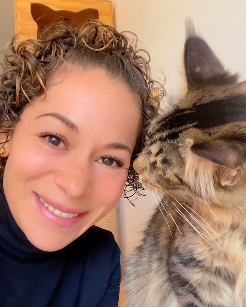 Yeny Vizcaino, Lavizcat, terapeuta felina especialista en comportamiento y convivencia entre gatos