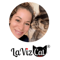 Logo Yeny Lavizcat footer