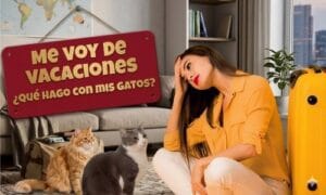 Vacaciones y gatos